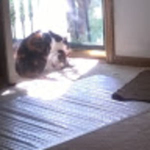 Meet your Posher, Samalia